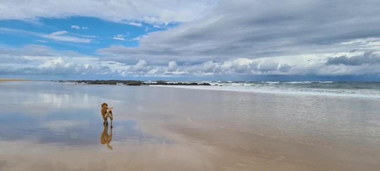 Diamond Beach Resort, Mid North Coast Nsw Extérieur photo